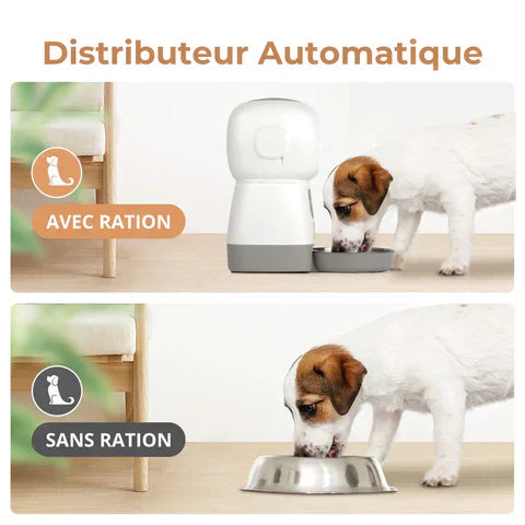 Chauto® Distributeur de Croquettes Automatique Programmable