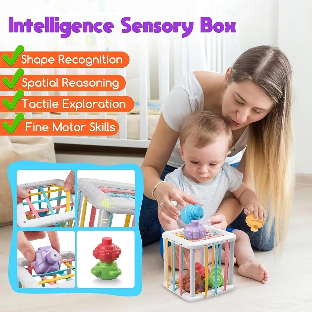 Kuub® Cage Montessori avec Blocs de Formes Sensorielles