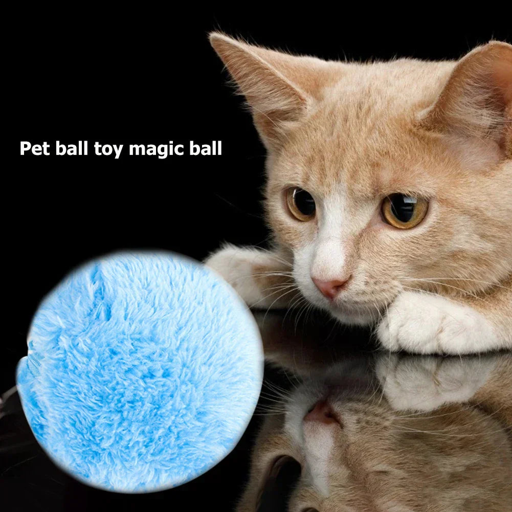 Raulto® Balle de Jeu Magique pour Animal