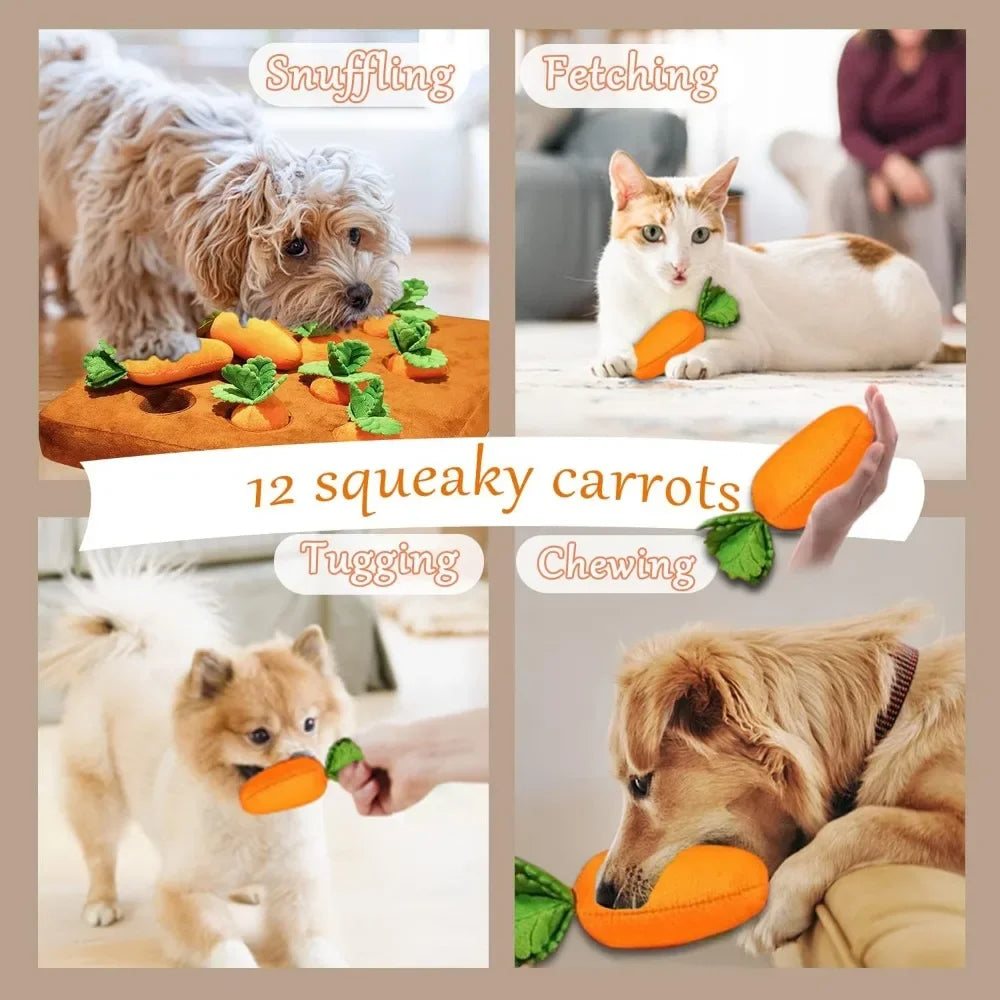 Fruitoy® Jouet Interactif en Peluche pour Animal